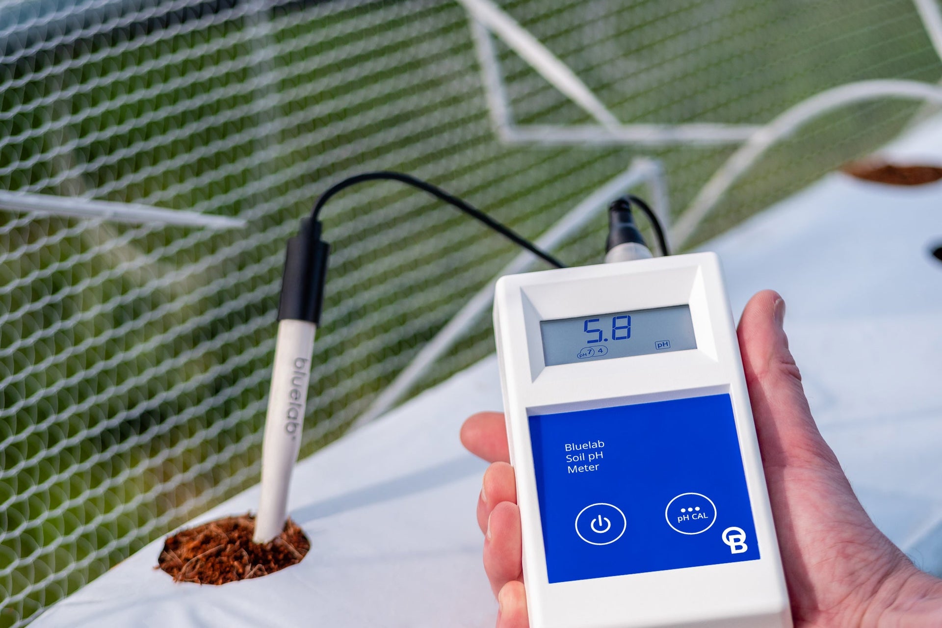 How to Measure Soil pH Accurately for Healthier Plants