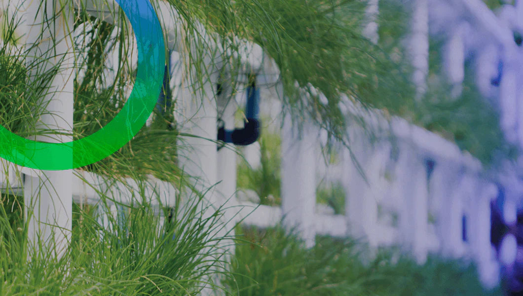 How experts in CEA grow more food with less resources