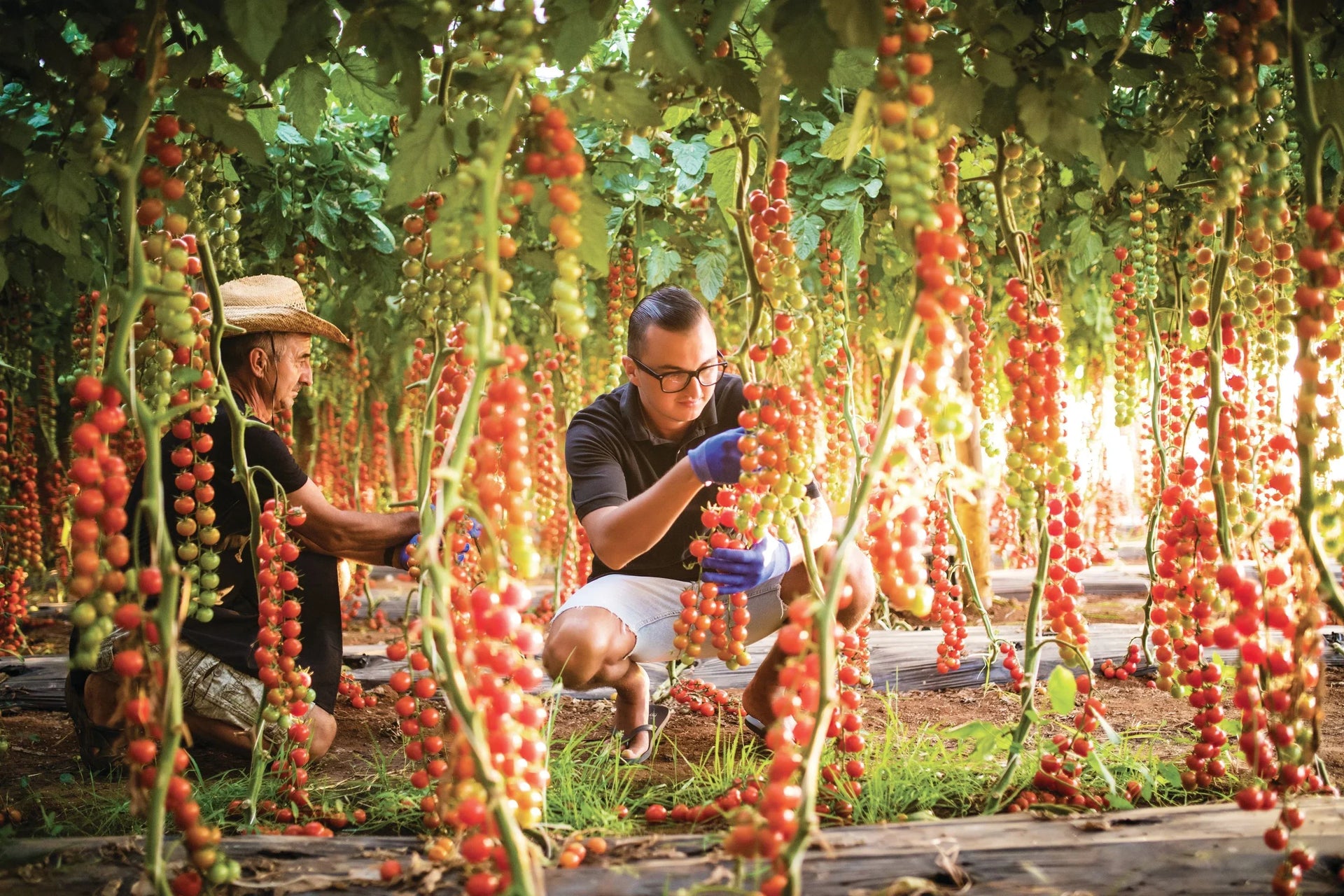 What is pH and how do you measure it?