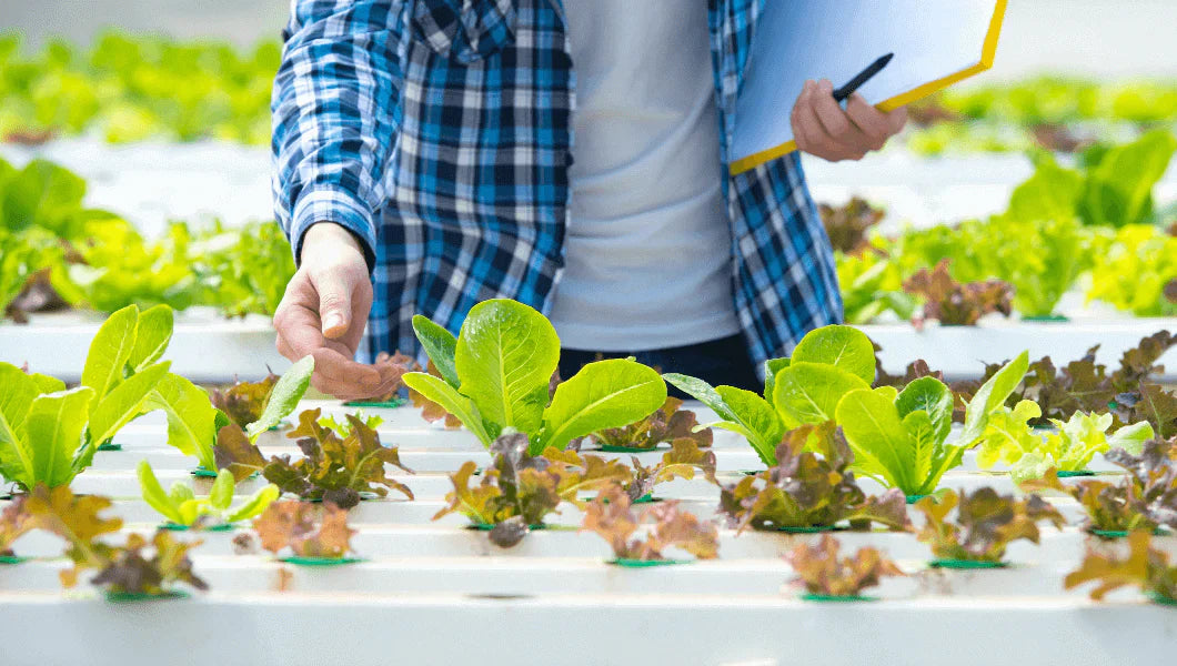 What CEA can learn from NASA's plant growth experiments