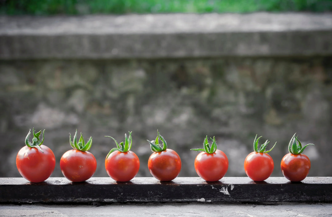 CRG Grow Greenhouse - Guardian Monitor Connect case study