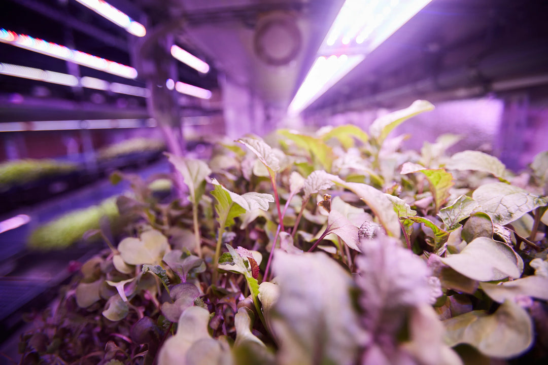 Cornell University – Pro Controller case study