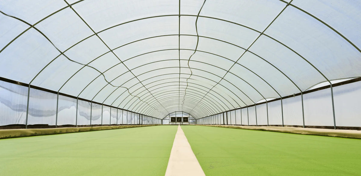 Experts weigh in on the Future of CEA