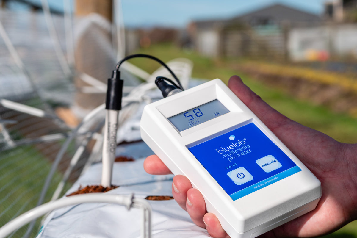 How to Measure Soil pH Accurately for Healthier Plants