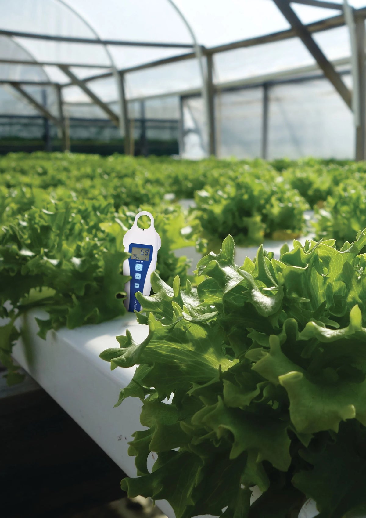 Can I use Bluelab products for hydroponics?