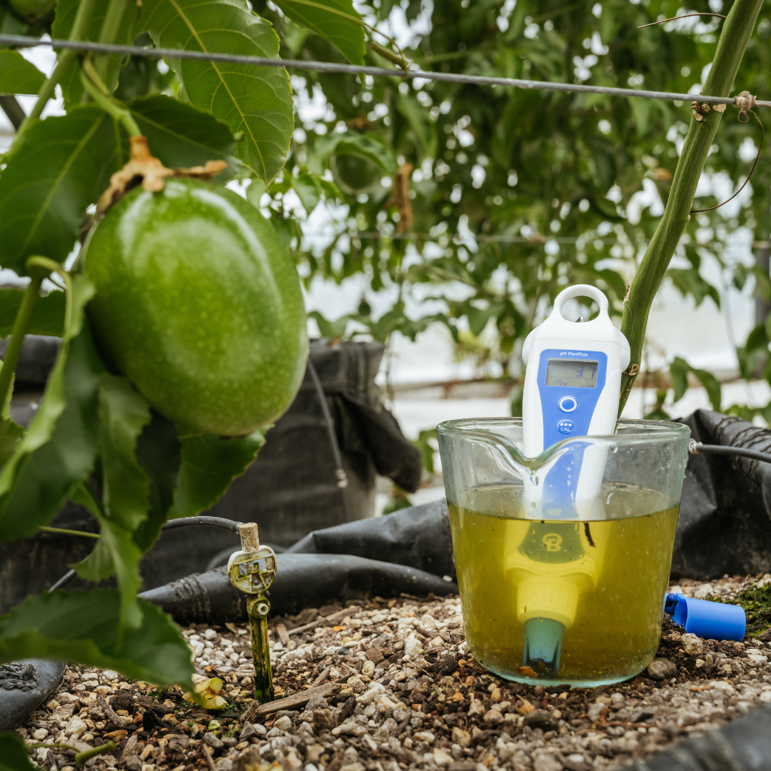Bluelab pH PenPlus