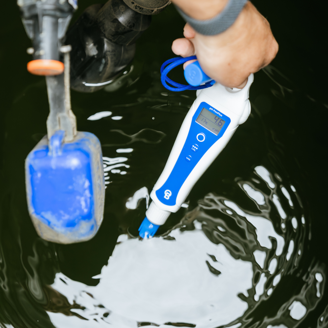 Bluelab pH PenPlus