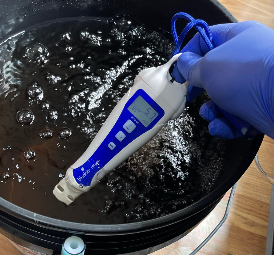 Hand with blue glove holding a pH Pen in a black container with water