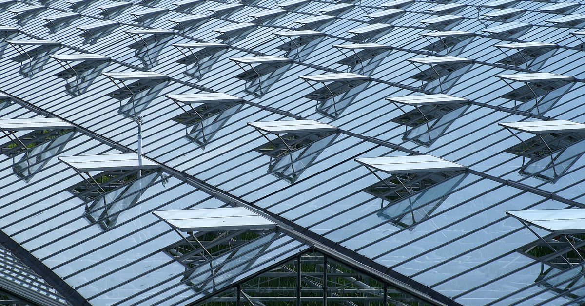 8 Questions on Greenhouse Ventilation